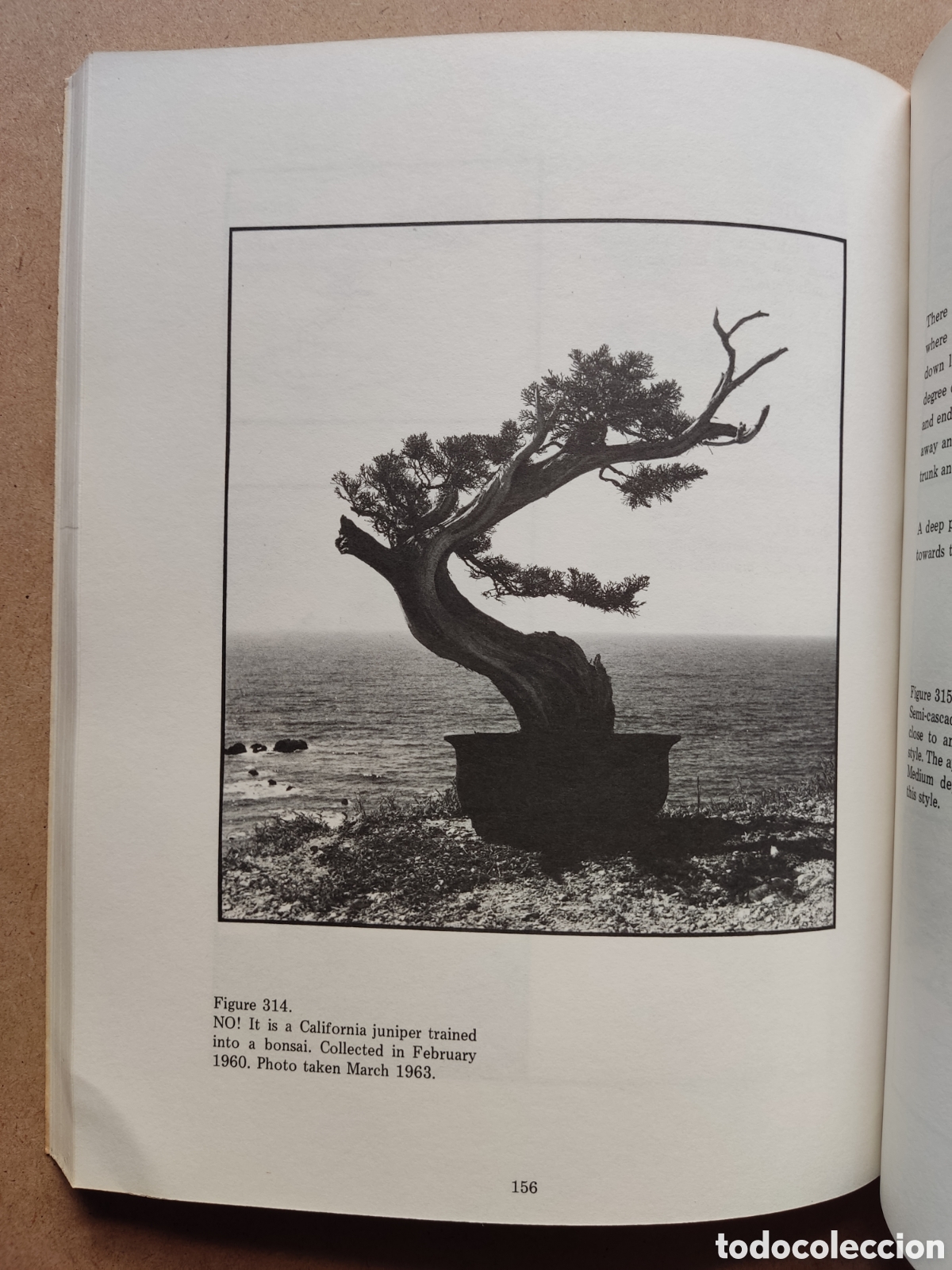 Libros de segunda mano: BONSAI LIBRO BONSAI TECHNIQUES I JOHN YOSHIO NAKA SIGNED 1983 - Foto 7