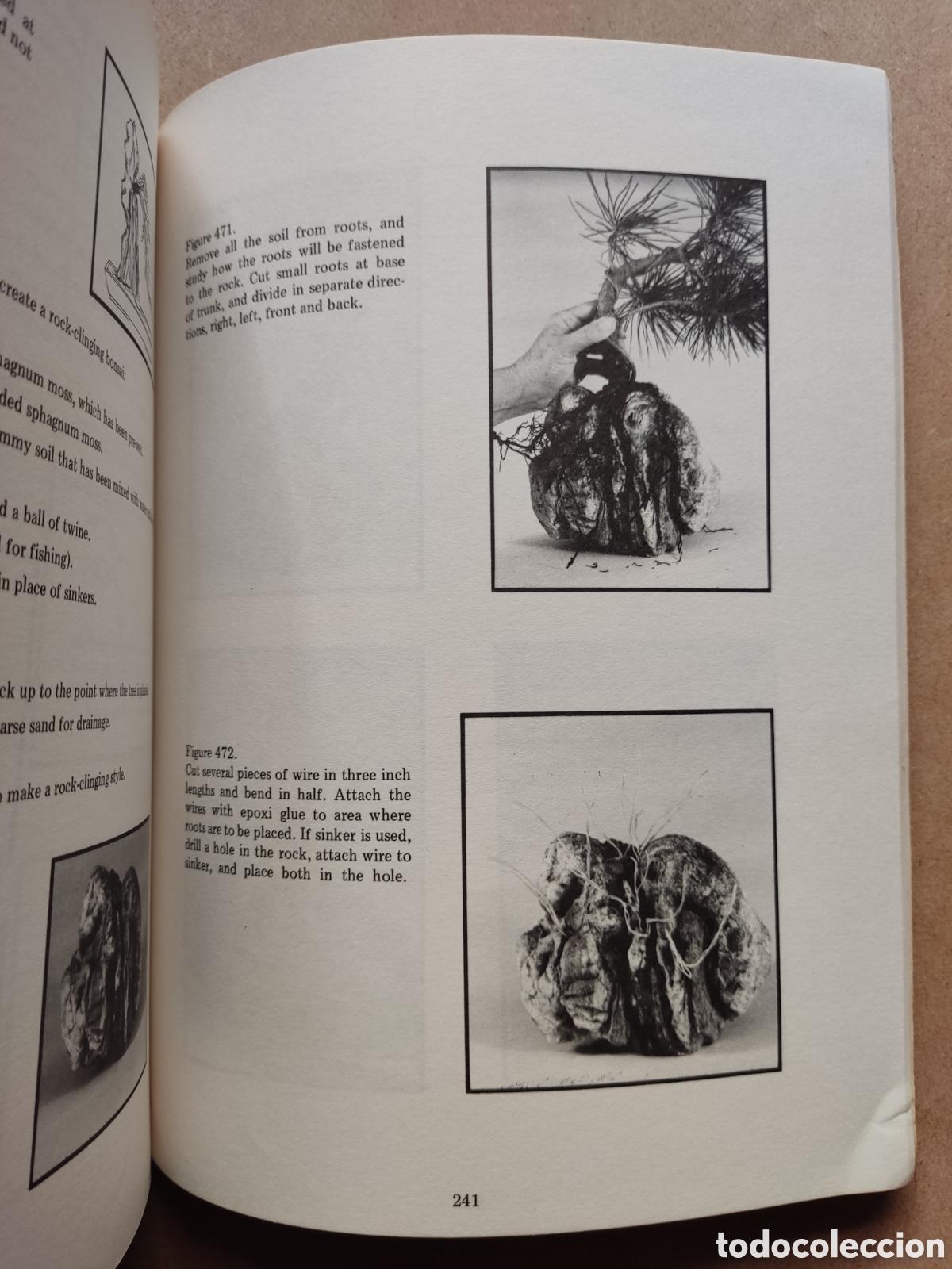 Libros de segunda mano: BONSAI LIBRO BONSAI TECHNIQUES I JOHN YOSHIO NAKA SIGNED 1983 - Foto 9