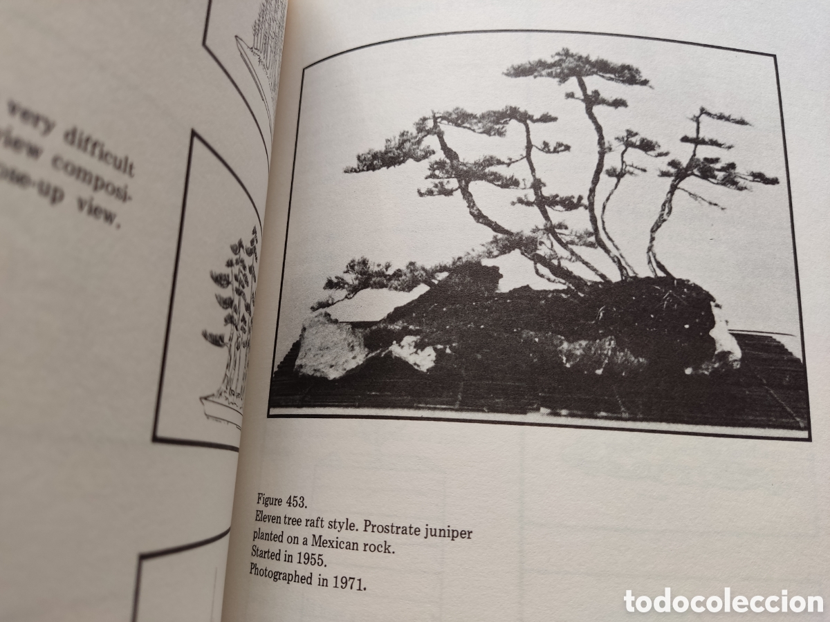 Libros de segunda mano: BONSAI LIBRO BONSAI TECHNIQUES I JOHN YOSHIO NAKA SIGNED 1983 - Foto 10