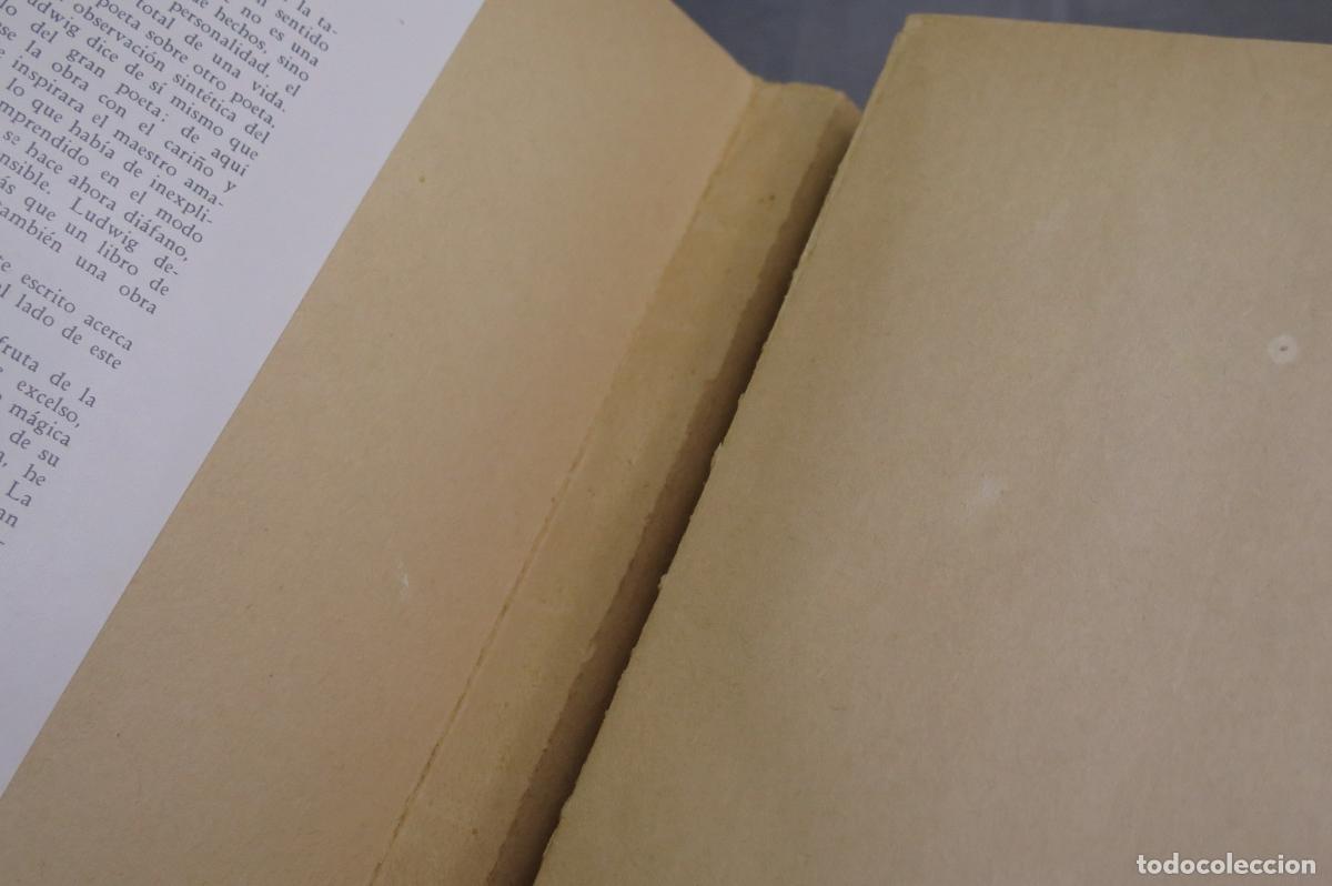 Libros de segunda mano: GOETHE. LUDWIG - Foto 2