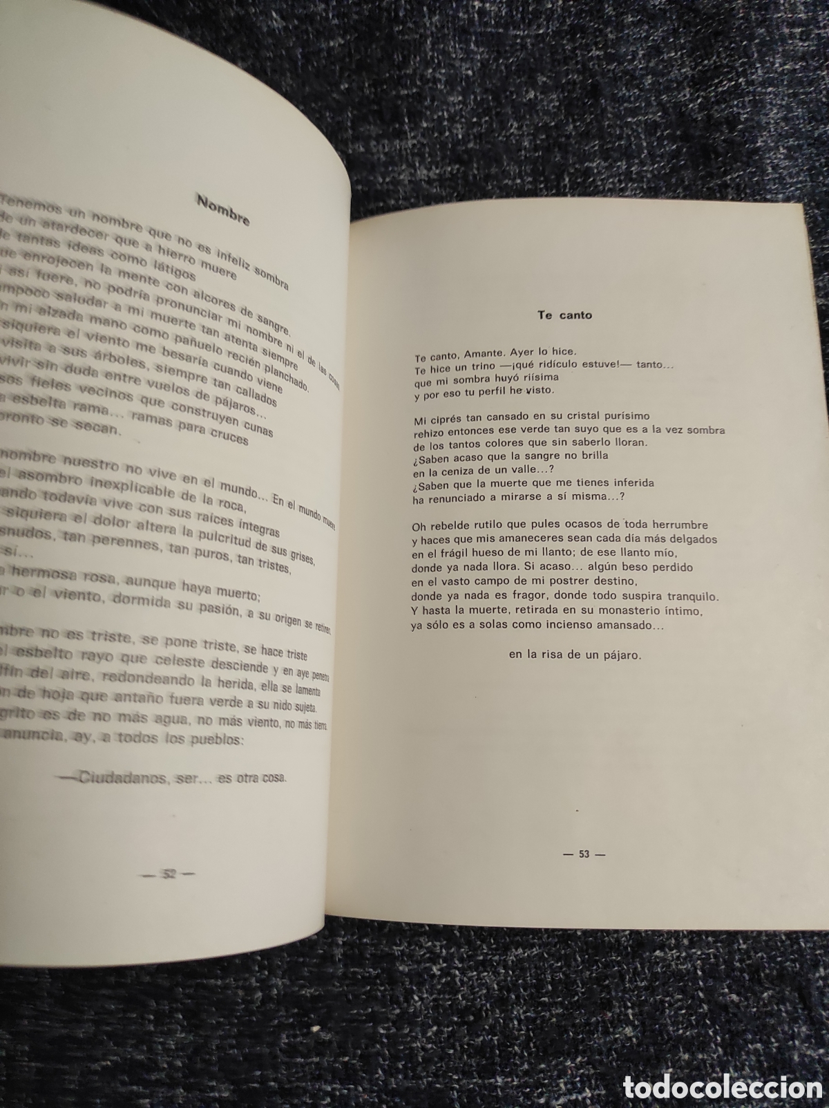 Libros de segunda mano: PAISAJE DESNUDO / FERNANDO RIELO. - Foto 3
