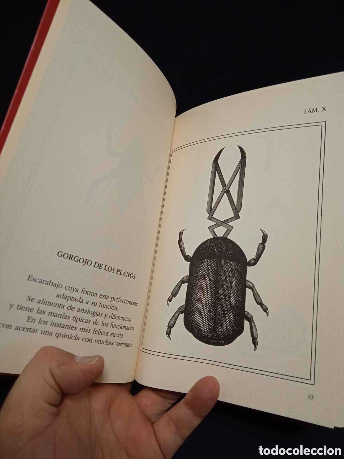 Libros de segunda mano: BESTIARIO - OPS - MEDUSA 2002 (2a ED AUMENTADA) #7788 - Foto 4