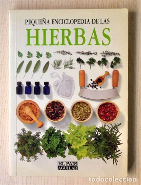 Libros de segunda mano: Peque&ntilde;a Enciclopedia de las hierbas. VV.AA - Foto 1