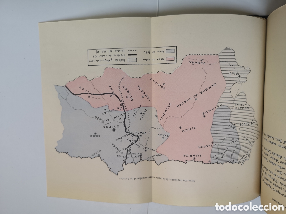 Libros de segunda mano: Aspectos del Bable Occidental 1954 - Foto 10