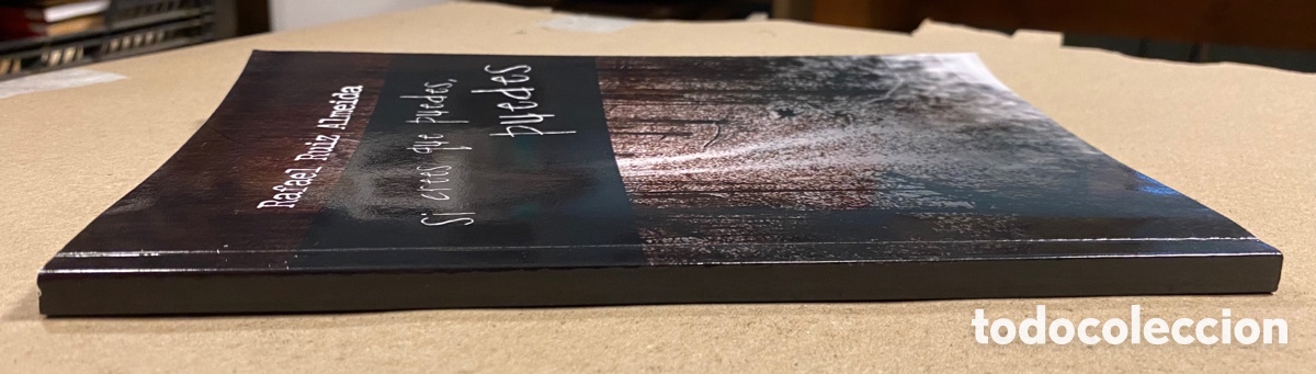 Libros de segunda mano: SI CREES QUE PUEDES, PUEDES. RAFAEL RUIZ ALMEIDA. - Foto 6