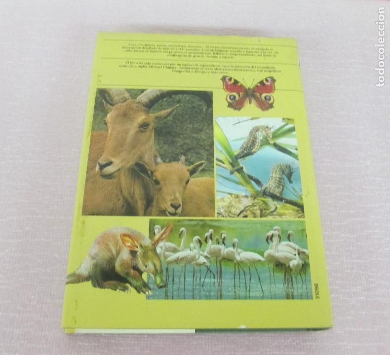 Libros de segunda mano: DICCIONARIO DE ANIMALES - MICHAEL CHINERY - CIRCULO DE LECTORES 1987 - EXCELENTE - Foto 2