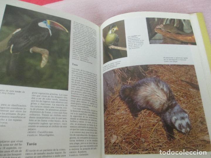 Libros de segunda mano: DICCIONARIO DE ANIMALES - MICHAEL CHINERY - CIRCULO DE LECTORES 1987 - EXCELENTE - Foto 4