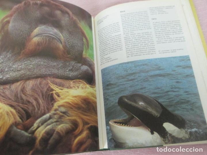 Libros de segunda mano: DICCIONARIO DE ANIMALES - MICHAEL CHINERY - CIRCULO DE LECTORES 1987 - EXCELENTE - Foto 6