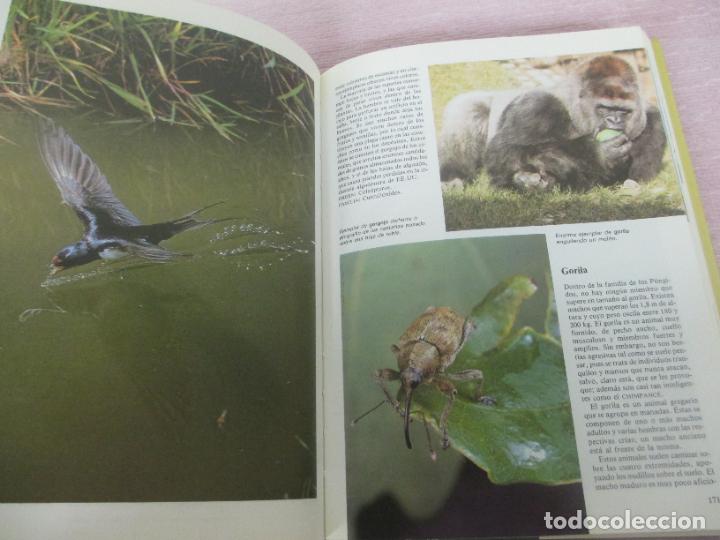 Libros de segunda mano: DICCIONARIO DE ANIMALES - MICHAEL CHINERY - CIRCULO DE LECTORES 1987 - EXCELENTE - Foto 7
