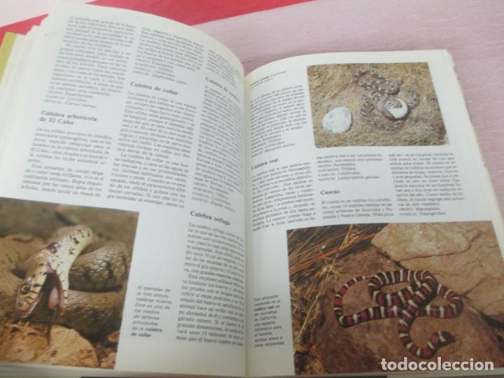 Libros de segunda mano: DICCIONARIO DE ANIMALES - MICHAEL CHINERY - CIRCULO DE LECTORES 1987 - EXCELENTE - Foto 9