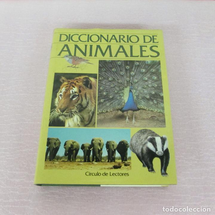 Libros de segunda mano: DICCIONARIO DE ANIMALES - MICHAEL CHINERY - CIRCULO DE LECTORES 1987 - EXCELENTE - Foto 1