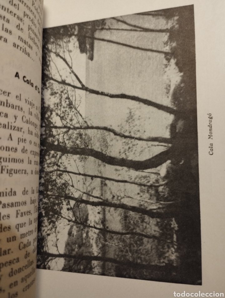Libros de segunda mano: SANTANY&Iacute; Y SUS CALAS (B. VIDAL Y TOM&Aacute;S) - Foto 4