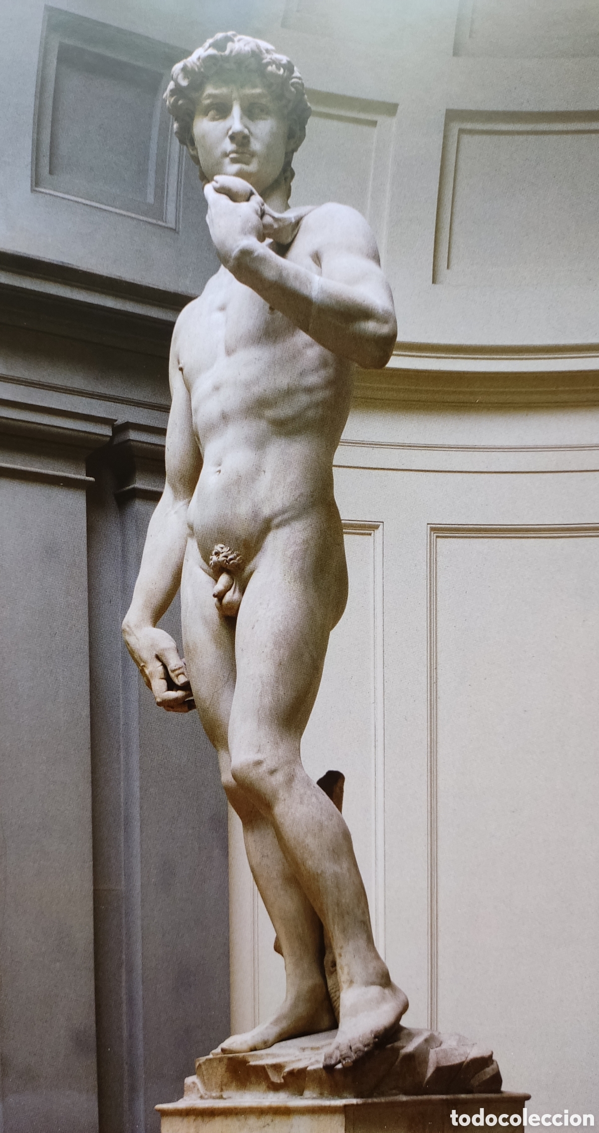 Libros de segunda mano: MIGUEL ANGEL MICHELANGELO OBRA LIBRO DESCATALOGADO - Foto 8