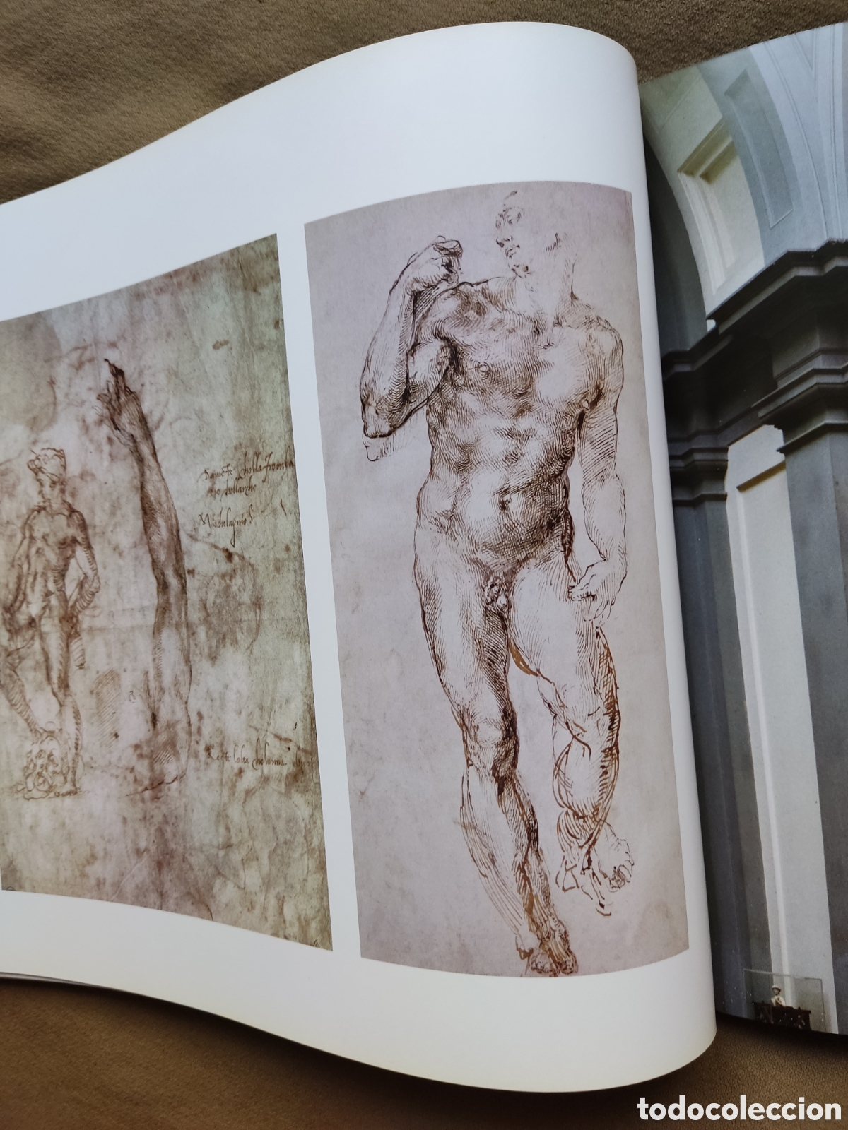 Libros de segunda mano: MIGUEL ANGEL MICHELANGELO OBRA LIBRO DESCATALOGADO - Foto 9