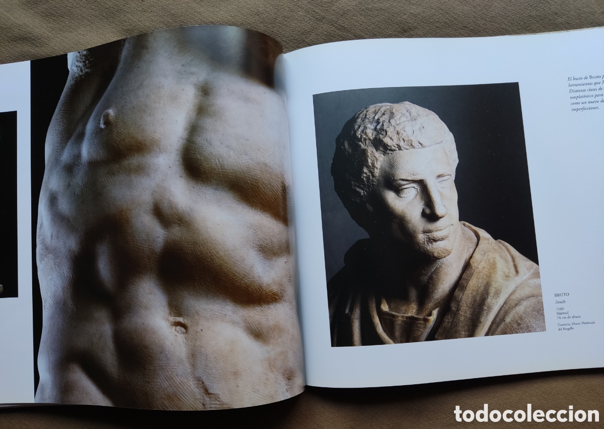 Libros de segunda mano: MIGUEL ANGEL MICHELANGELO OBRA LIBRO DESCATALOGADO - Foto 10