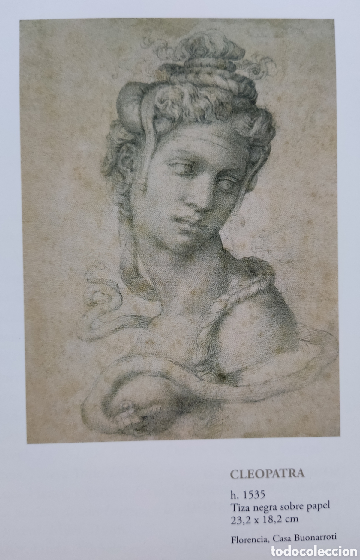 Libros de segunda mano: MIGUEL ANGEL MICHELANGELO OBRA LIBRO DESCATALOGADO - Foto 13