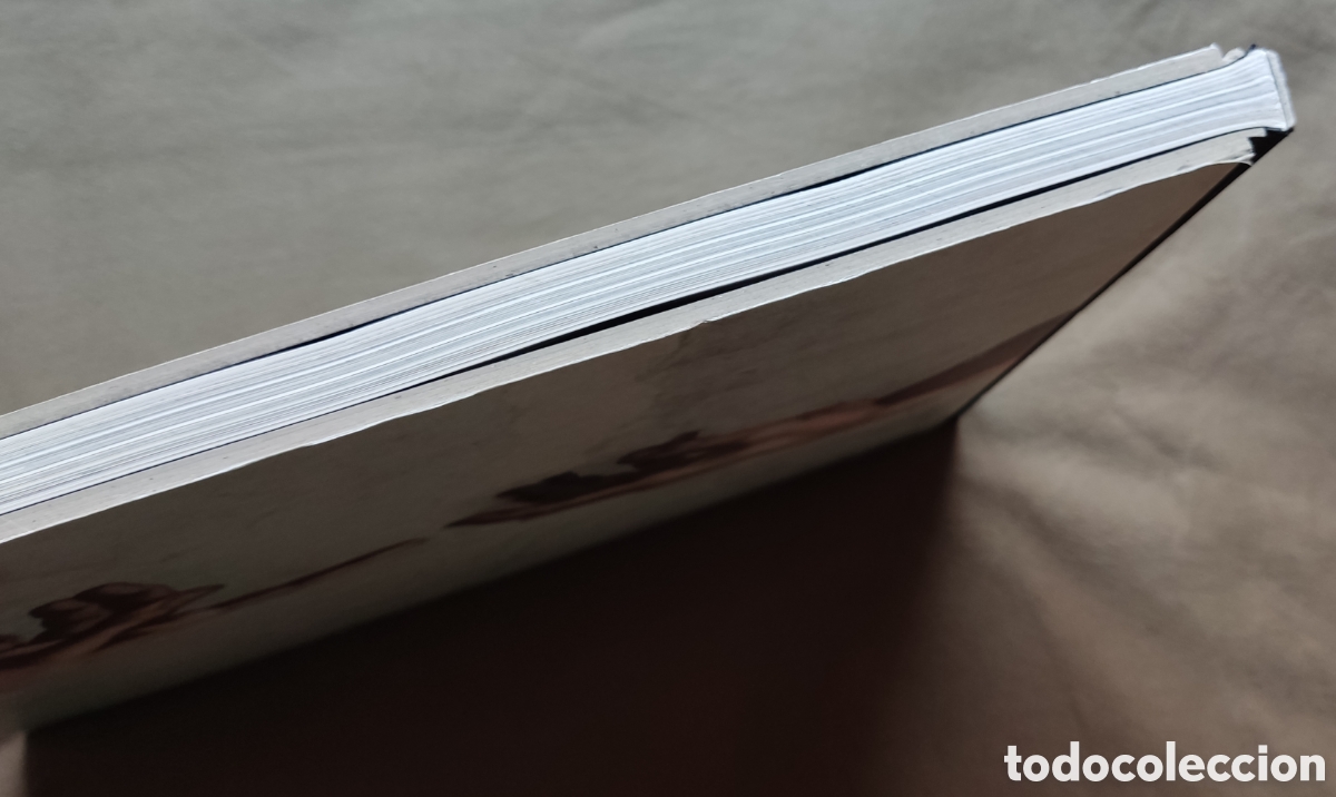 Libros de segunda mano: MIGUEL ANGEL MICHELANGELO OBRA LIBRO DESCATALOGADO - Foto 16