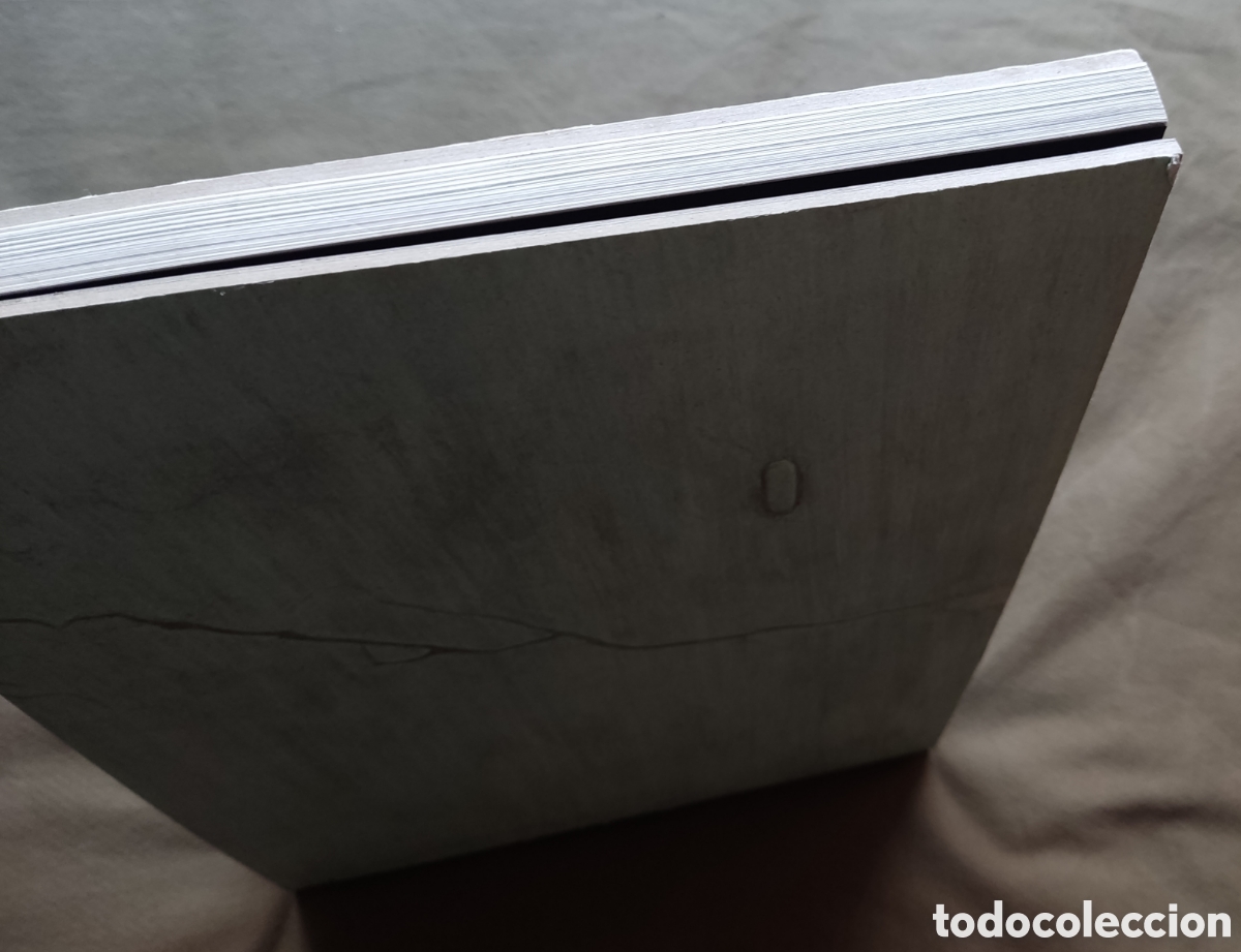Libros de segunda mano: MIGUEL ANGEL MICHELANGELO OBRA LIBRO DESCATALOGADO - Foto 17