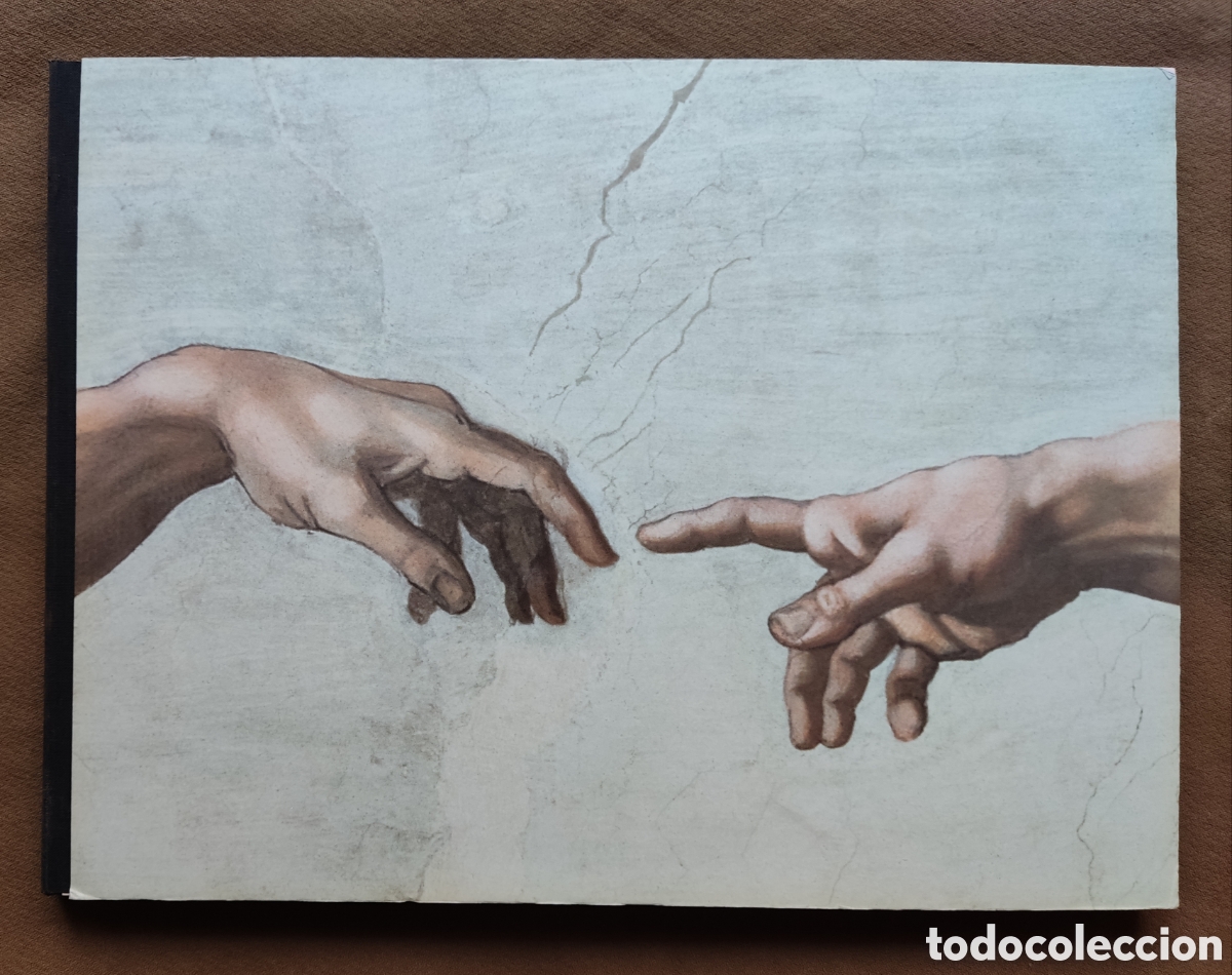 Libros de segunda mano: MIGUEL ANGEL MICHELANGELO OBRA LIBRO DESCATALOGADO - Foto 1