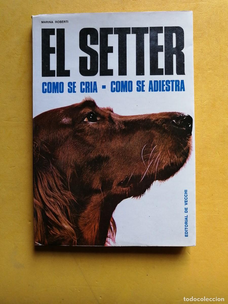 Libros de segunda mano: El setter por Marina Roberti - Foto 1