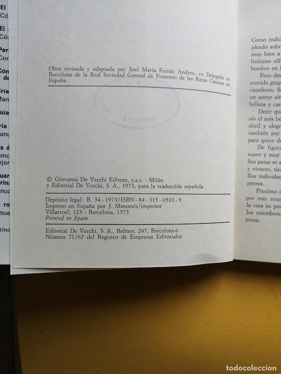 Libros de segunda mano: El setter por Marina Roberti - Foto 3