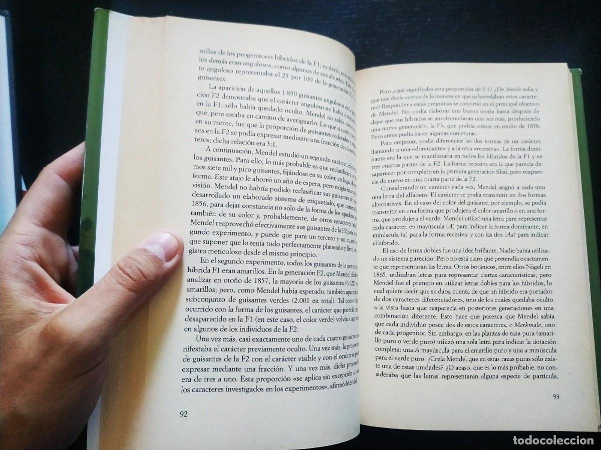 Libros de segunda mano: El monje en el huerto - Robin Marantz Henig. Debate - Foto 5