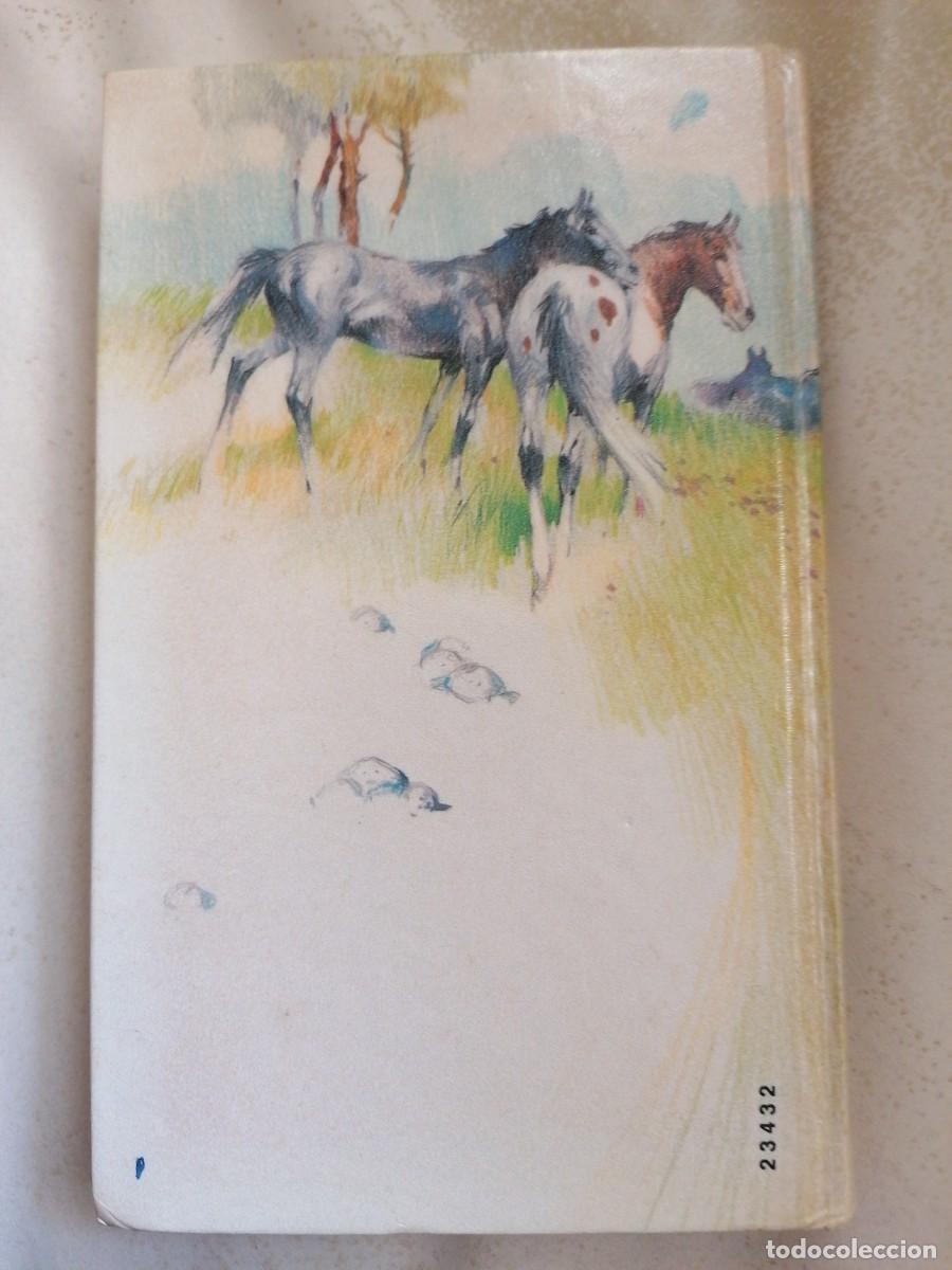 Libros de segunda mano: MI AMIGA FLICKA - Foto 3