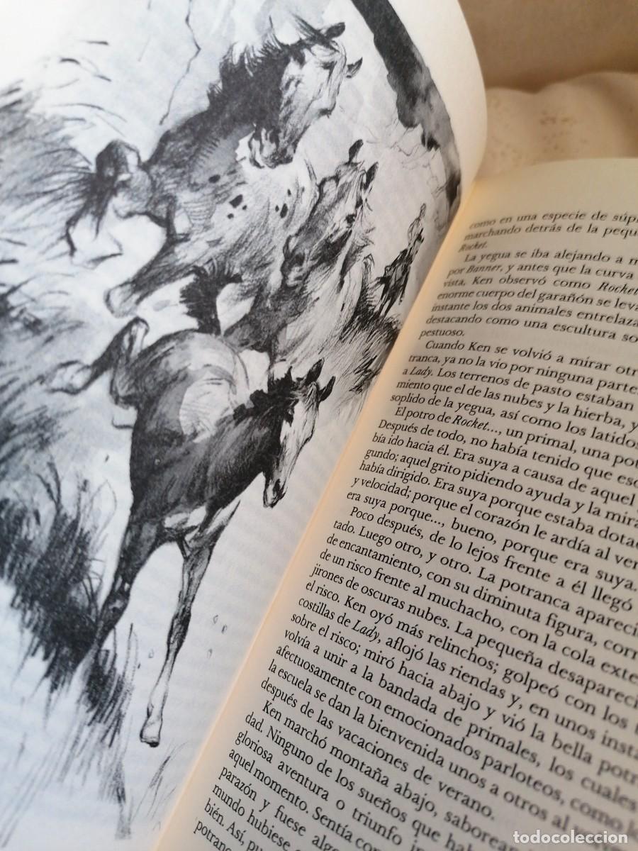 Libros de segunda mano: MI AMIGA FLICKA - Foto 6
