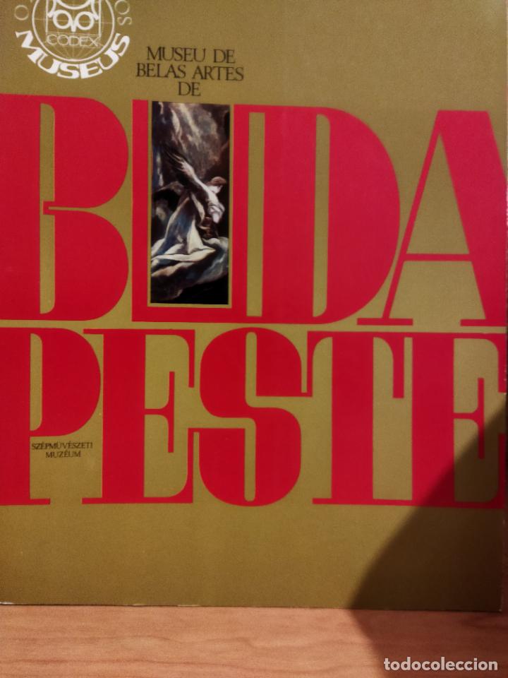 Libros de segunda mano: Museo de bellas artes de Budapest - Foto 1