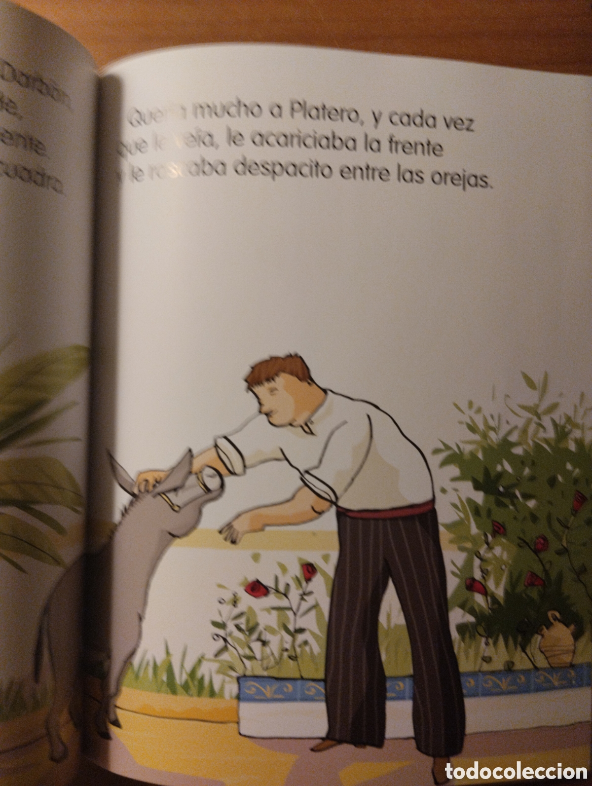 Libros de segunda mano: Mi primer Platero, Concha L&oacute;pez Narv&aacute;ez - Foto 5