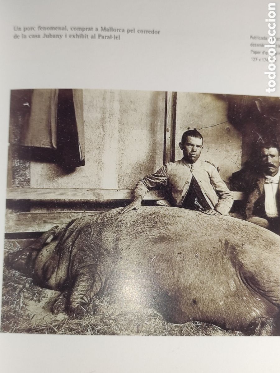 Libros de segunda mano: Fotos Frederic Ballell - Foto 5