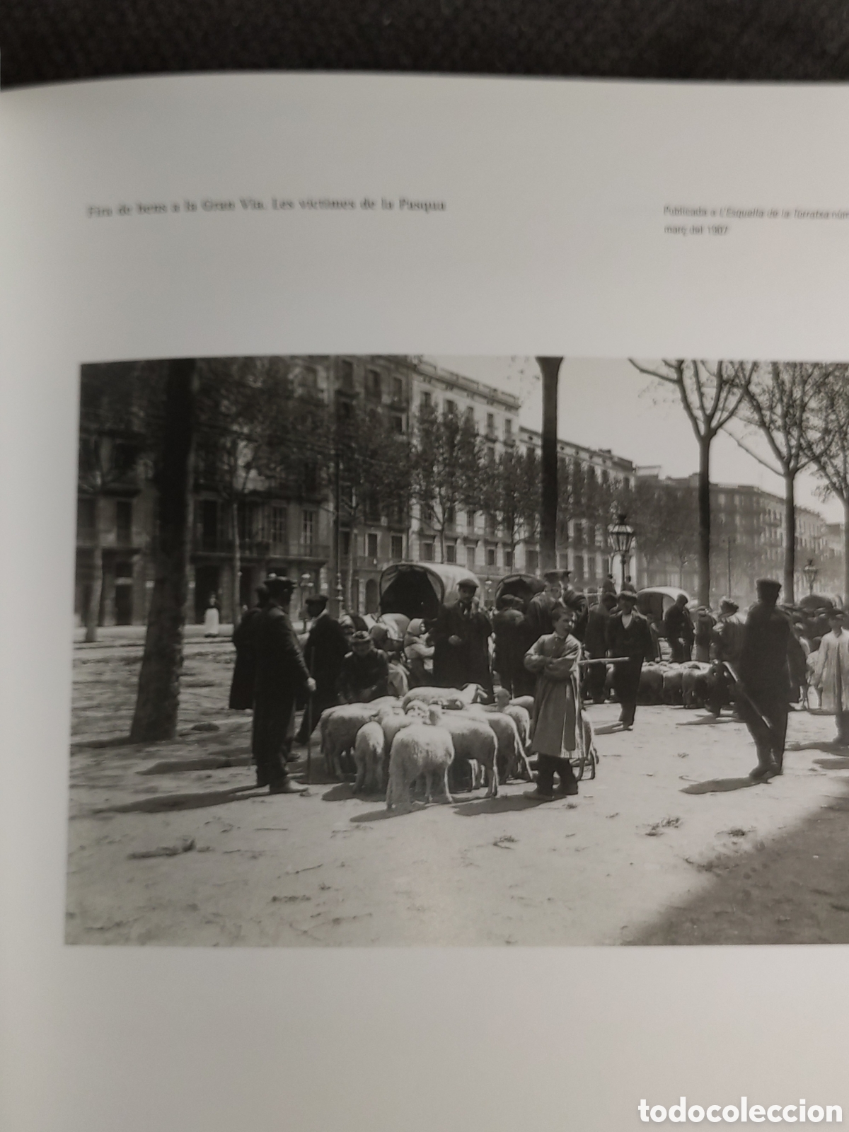 Libros de segunda mano: Fotos Frederic Ballell - Foto 6