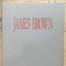 Libros de segunda mano: JAMES BROWN. OBRA 1988-1989 (GALERÍA SOLEDAD LORENZO, 1989)