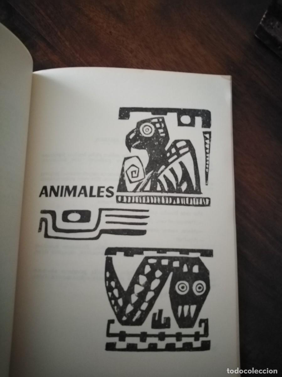 Libros de segunda mano: Sacha Pacha. El mundo de la selva. Quito, Ecuador. - Foto 7