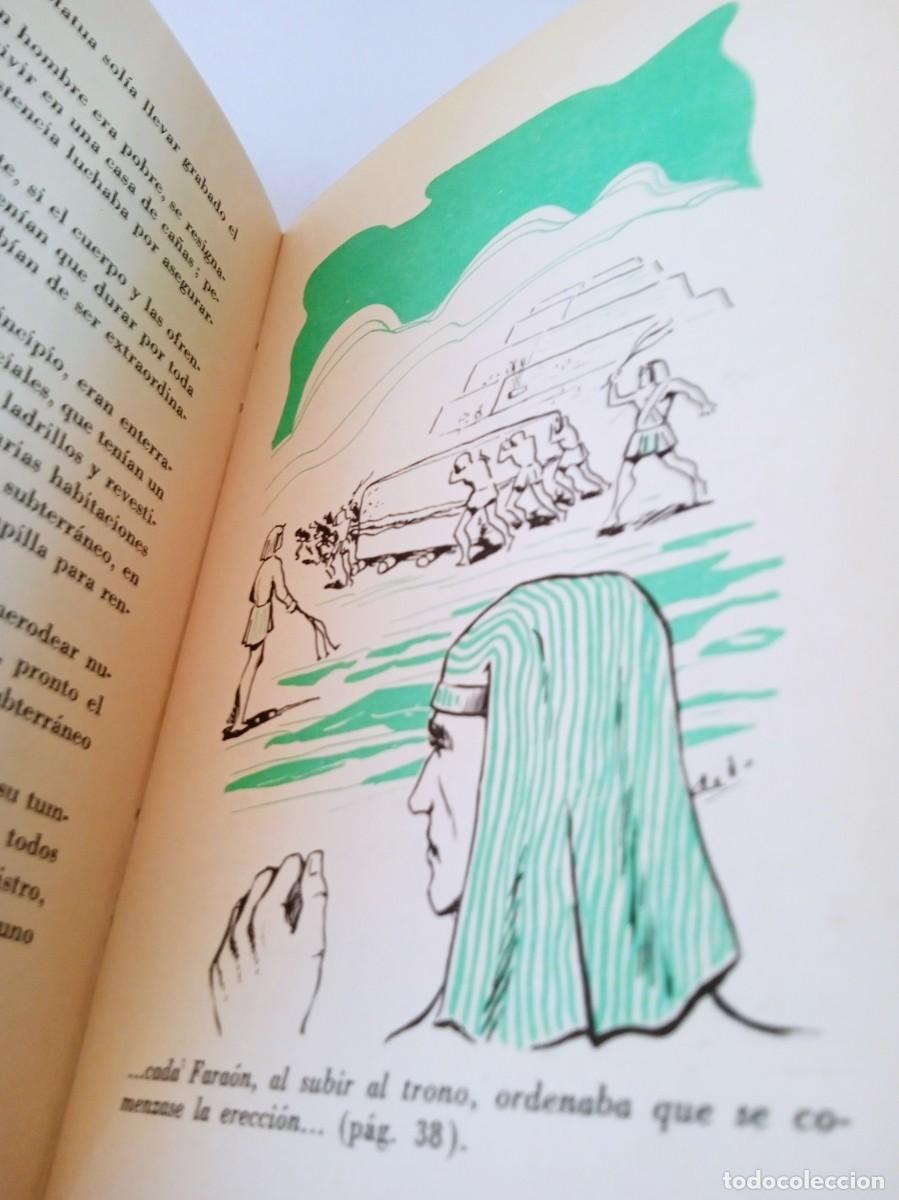 Libros de segunda mano: LA HISTORIA DE LA CASA Celia L&oacute;pez S&aacute;inz - Foto 6