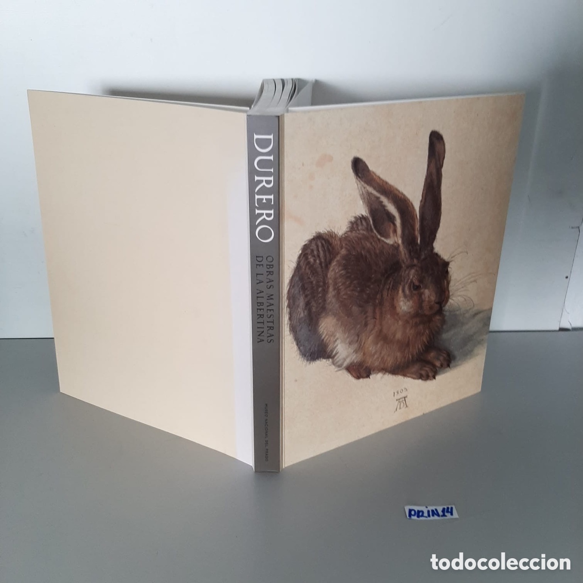 Libros de segunda mano: Durero. Obras maestras de la Albertina - Foto 1