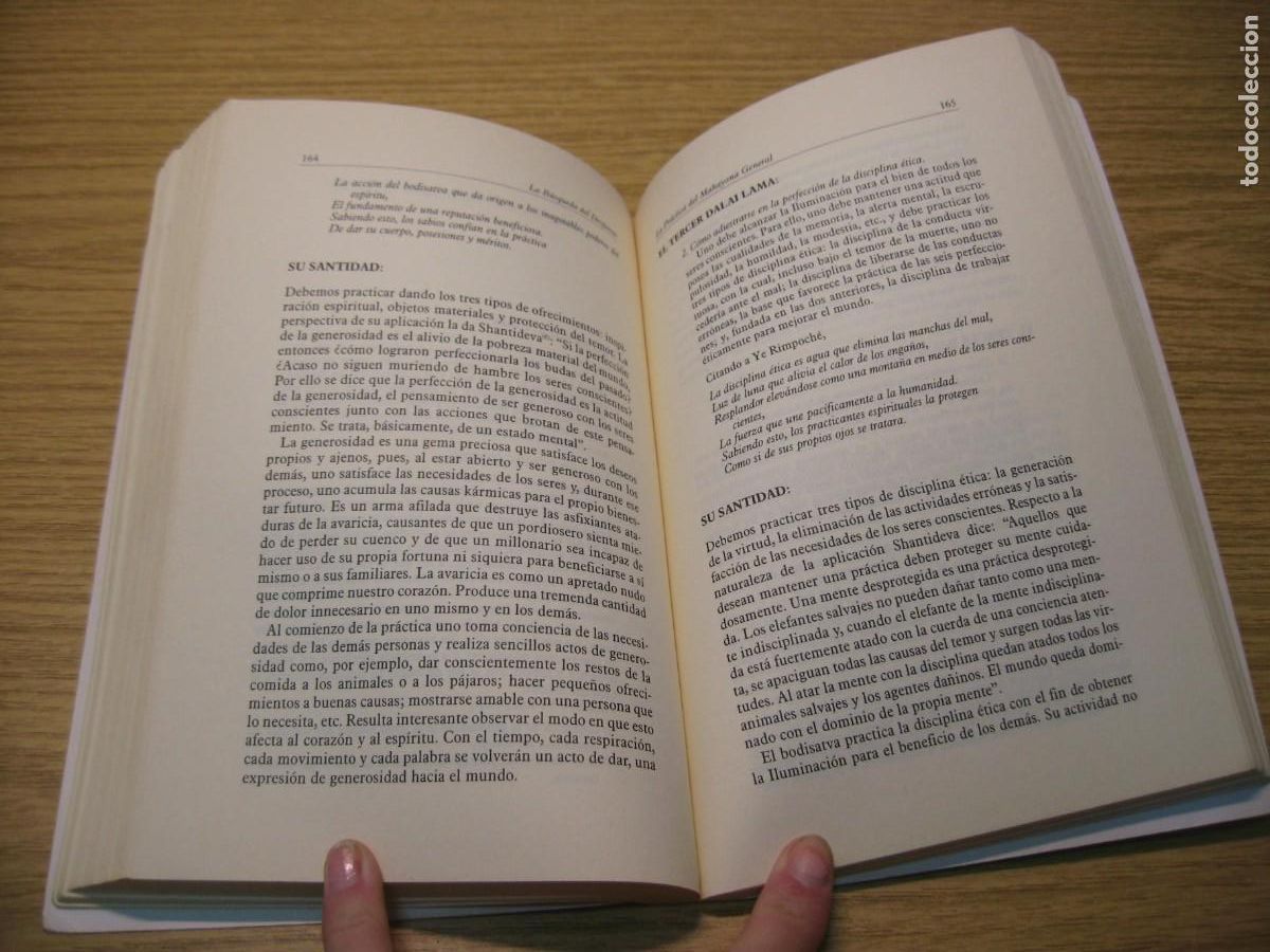 Libros de segunda mano: LA BUSQUEDA DEL DESPERTAR. XIV DALAI LAMA. EDICIONES DHARMA 1996 - Foto 12