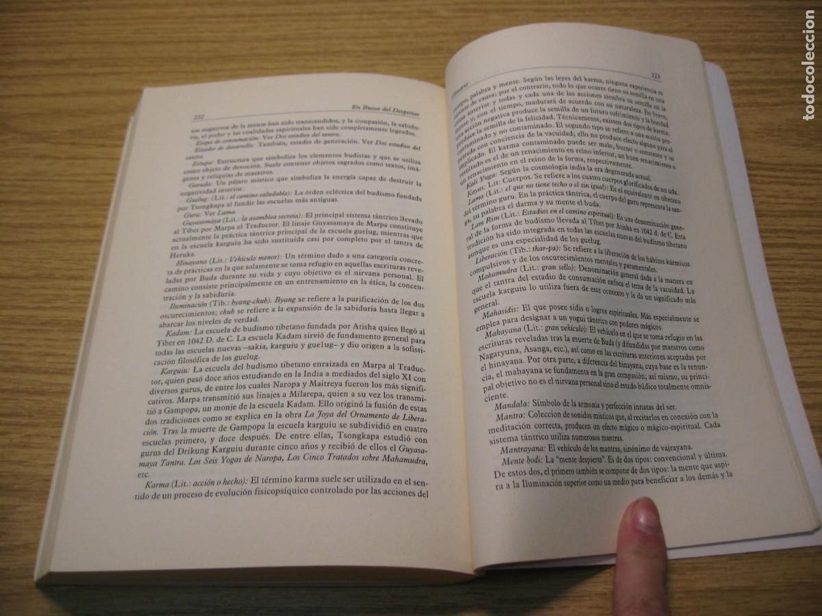 Libros de segunda mano: LA BUSQUEDA DEL DESPERTAR. XIV DALAI LAMA. EDICIONES DHARMA 1996 - Foto 13