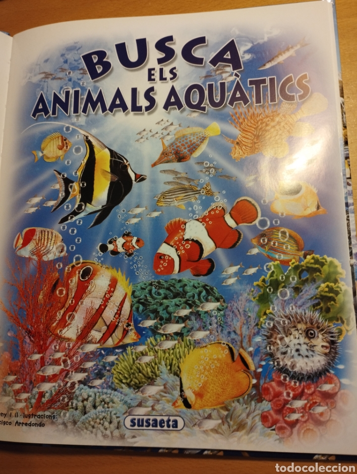 Libros de segunda mano: BUSCA ELS ANIMALS AQU&Agrave;TICS (SUSAETA) - Foto 2