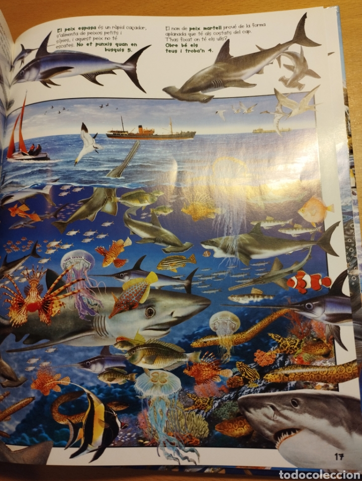 Libros de segunda mano: BUSCA ELS ANIMALS AQU&Agrave;TICS (SUSAETA) - Foto 6
