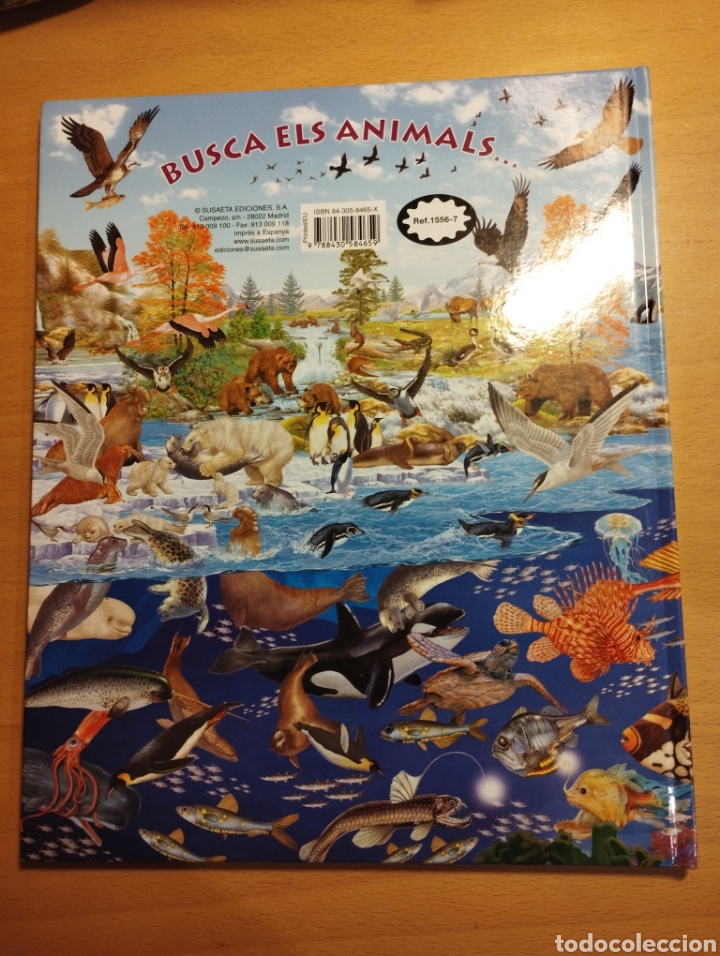 Libros de segunda mano: BUSCA ELS ANIMALS AQU&Agrave;TICS (SUSAETA) - Foto 11