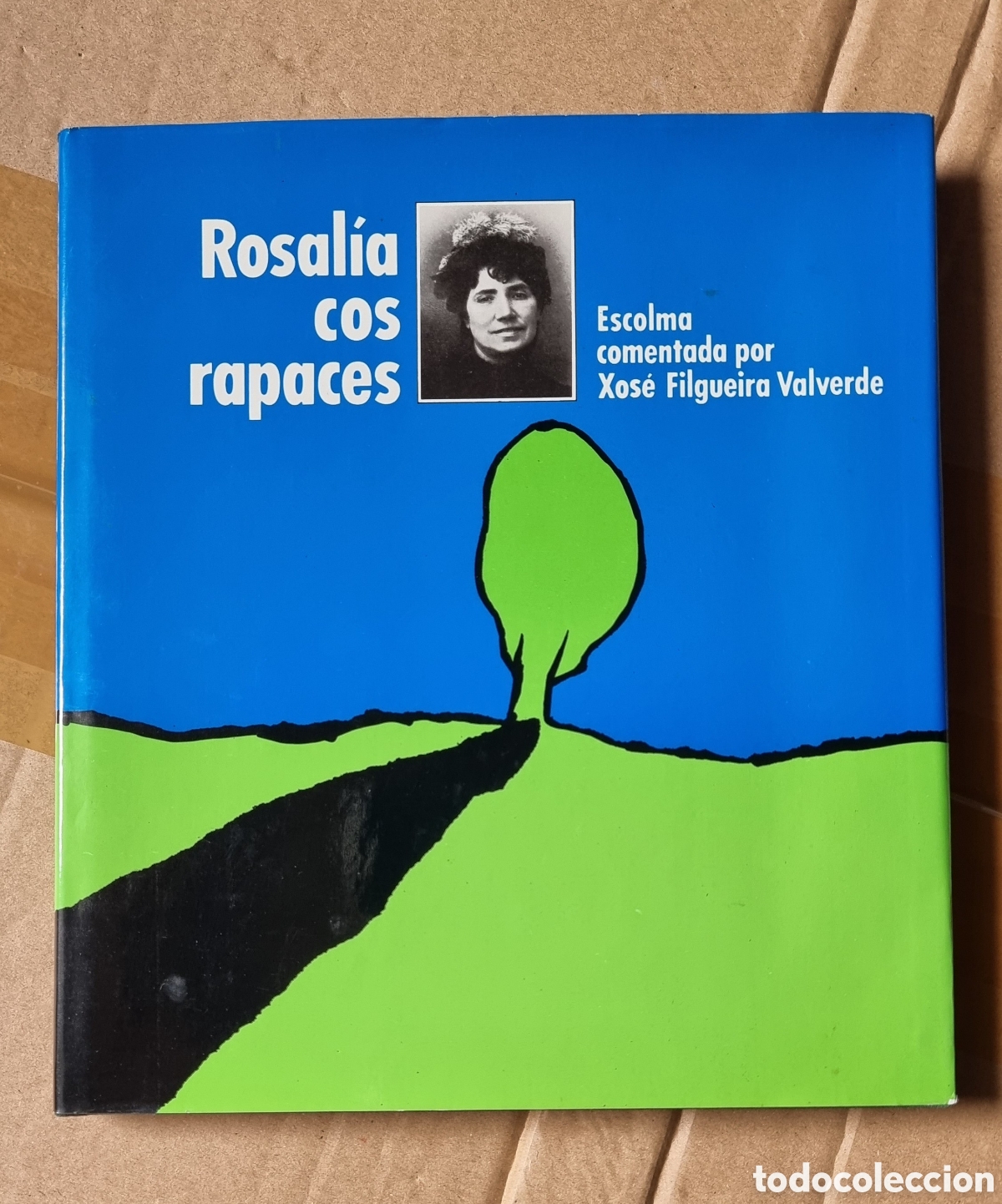 Libros de segunda mano: ROSAL&Iacute;A COS RAPACES - Foto 1