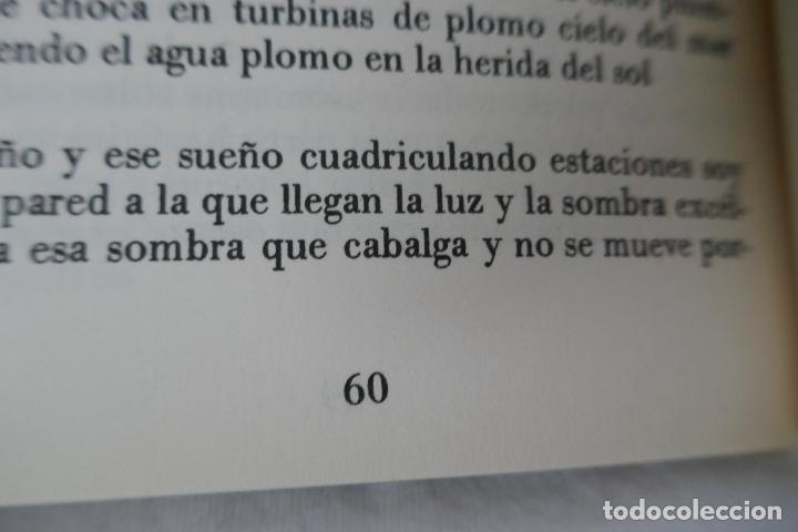 Libros de segunda mano: BAAH - ALBERT GIM&Eacute;NEZ, 1&ordf; EDICI&Oacute; 1985 - Foto 8