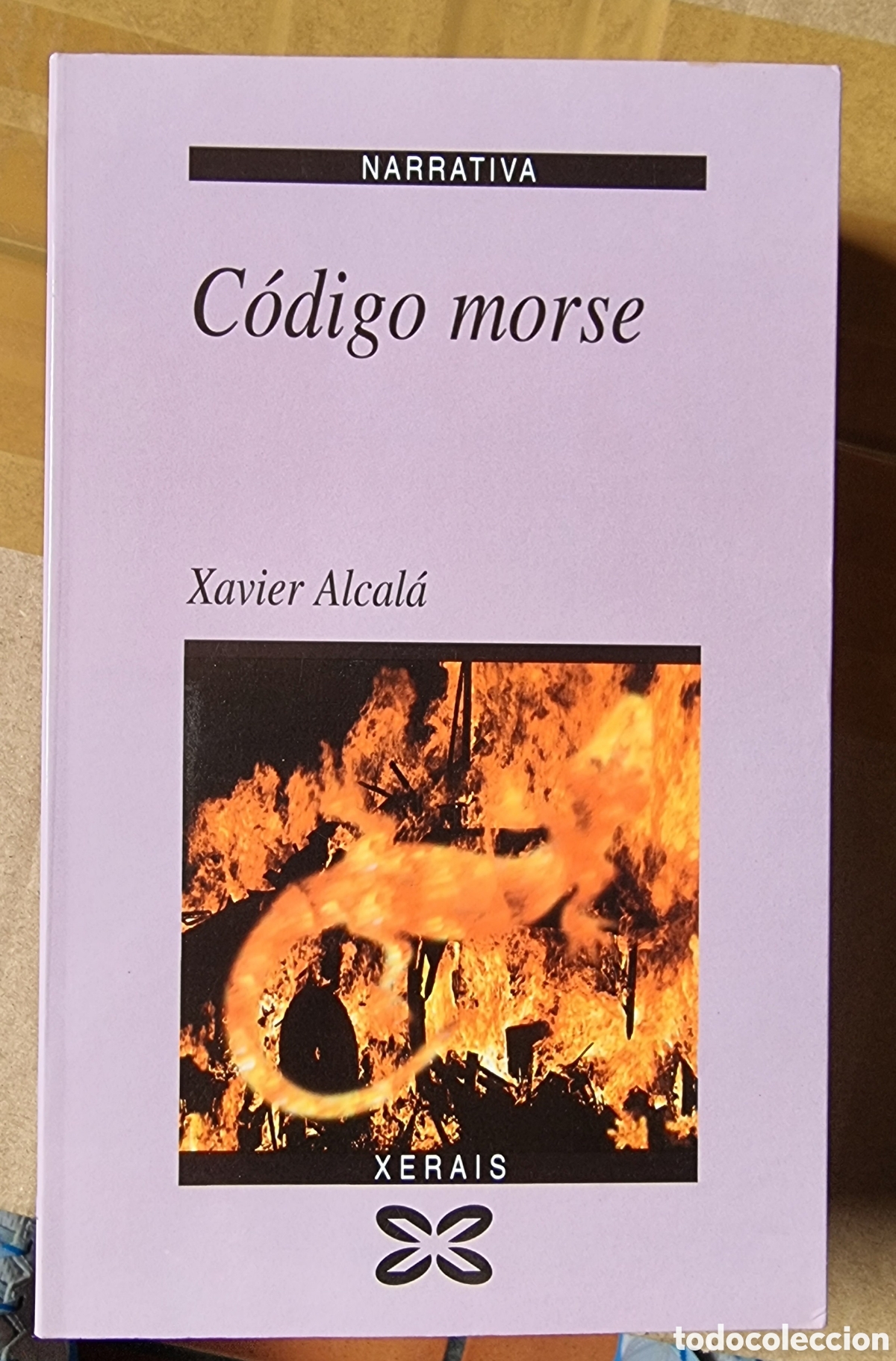 Libros de segunda mano: NARRATIVA. Editorial Xerais (10 libros) - Foto 9