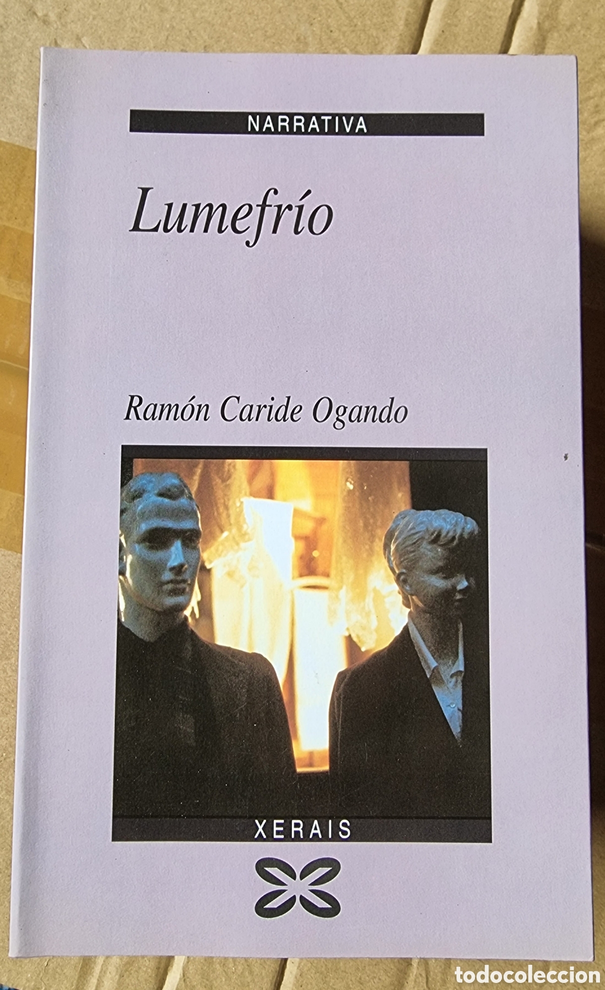 Libros de segunda mano: NARRATIVA. Editorial Xerais (12 libros) - Foto 11