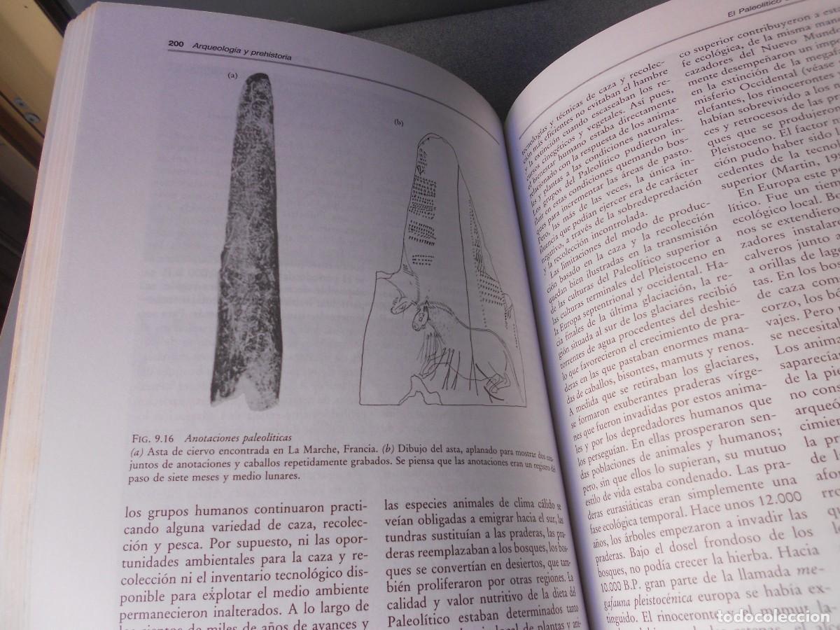 Libros de segunda mano: INTRODUCCION A LA ANTROPOLOGIA GENERAL - Foto 4