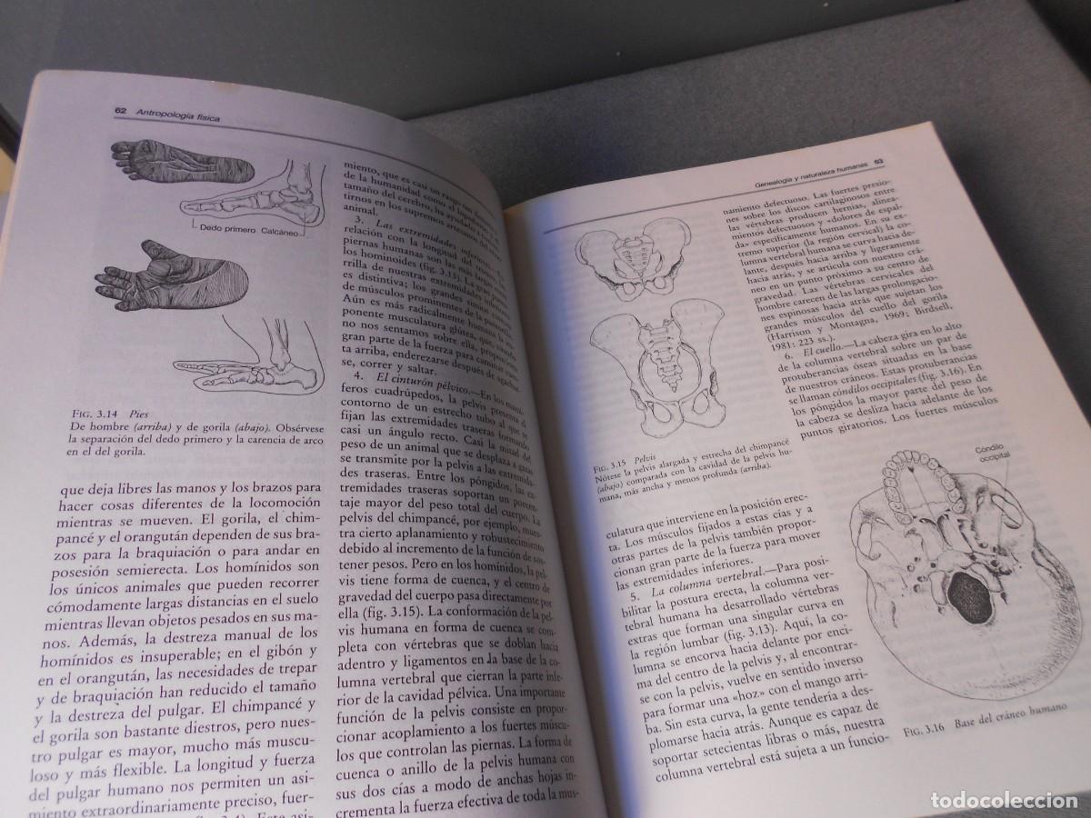 Libros de segunda mano: INTRODUCCION A LA ANTROPOLOGIA GENERAL - Foto 6
