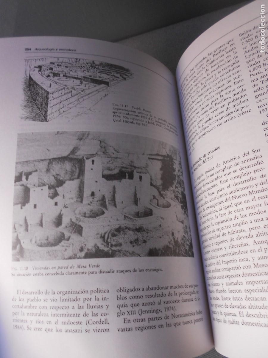Libros de segunda mano: INTRODUCCION A LA ANTROPOLOGIA GENERAL - Foto 8