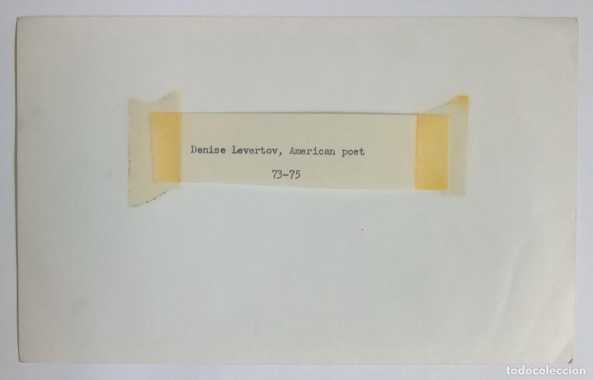 Libros de segunda mano: Original photo - Denise Levertov - (1973 / 75) - Foto 2