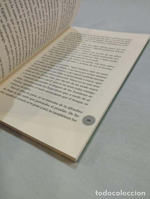 Libros de segunda mano: N&uacute;ria Pradas - Raidho. Un viaje con los vikingos - Foto 2